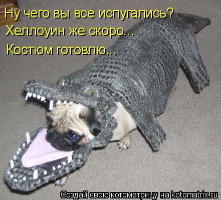 Ну чего вы все испугались? Хеллоуин же скоро... Костюм готовлю...... Котоматрица: Ну чего вы все испугались? Хеллоуин же скоро... Костюм готовлю...