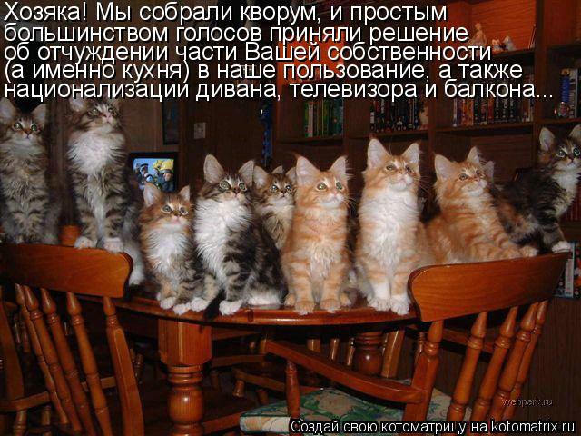 Хозяка! Мы собрали кворум, и простым большинством голосов приняли решение об отчуждении части Вашей ... Котоматрица: Хозяка! Мы собрали кворум, и простым большинством голосов приняли решение об отчуждении части Вашей собственности (а именно кухня) в наше