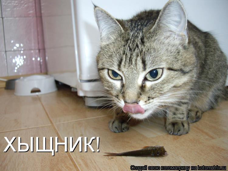 ХЫЩНИК!... Котоматрица: ХЫЩНИК!