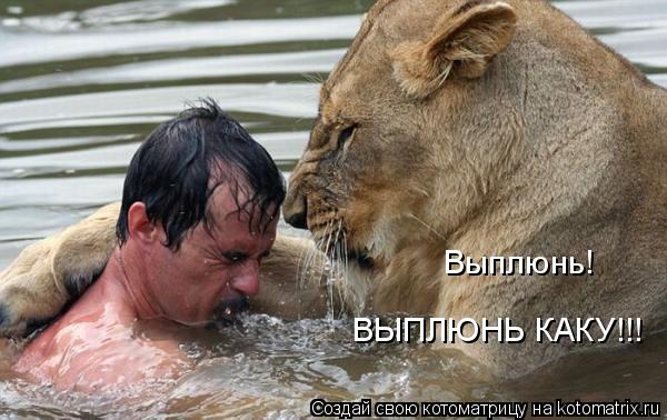 Выплюнь! ВЫПЛЮНЬ КАКУ!!!... Котоматрица: Выплюнь! ВЫПЛЮНЬ КАКУ!!!