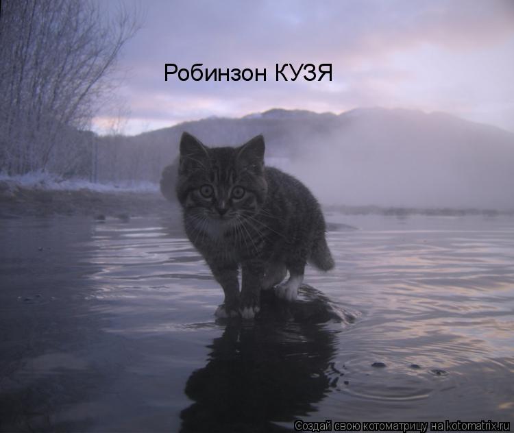 Робинзон КУЗЯ... Котоматрица: Робинзон КУЗЯ
