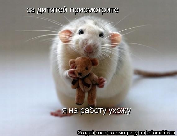 за дитятей присмотрите я на работу ухожу... Котоматрица: за дитятей присмотрите я на работу ухожу