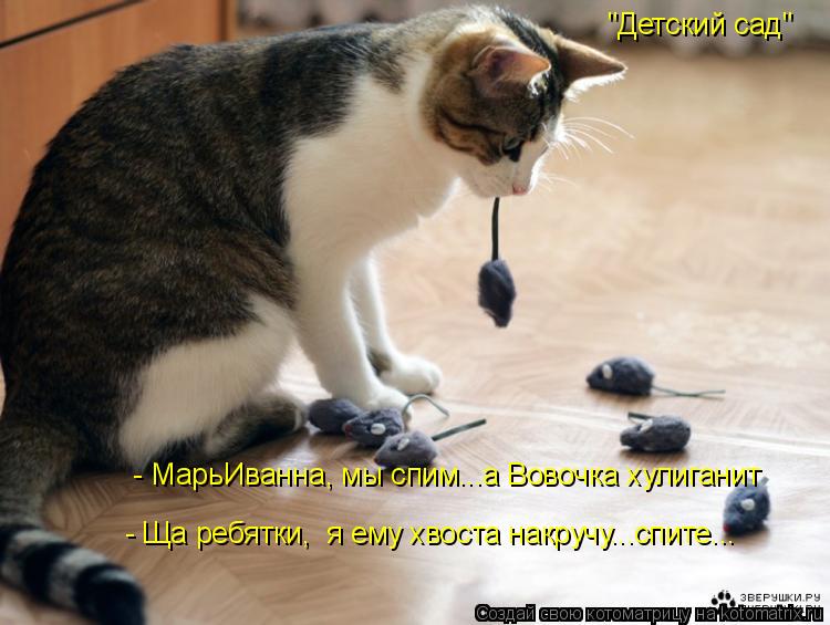 "Детский сад" - МарьИванна, мы спим...а Вовочка хулиганит - Ща ребятки, я ему хвоста накручу...спи... Котоматрица: "Детский сад" - МарьИванна, мы спим...а Вовочка хулиганит - Ща ребятки, я ему хвоста накручу...спите...
