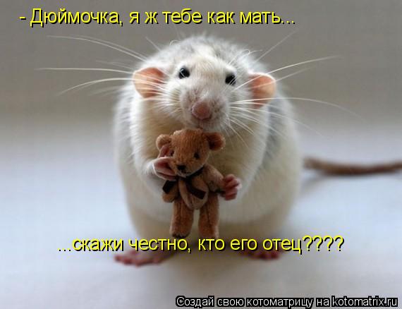 - Дюймочка, я ж тебе как мать... ...скажи честно, кто его отец????... Котоматрица: - Дюймочка, я ж тебе как мать... ...скажи честно, кто его отец????