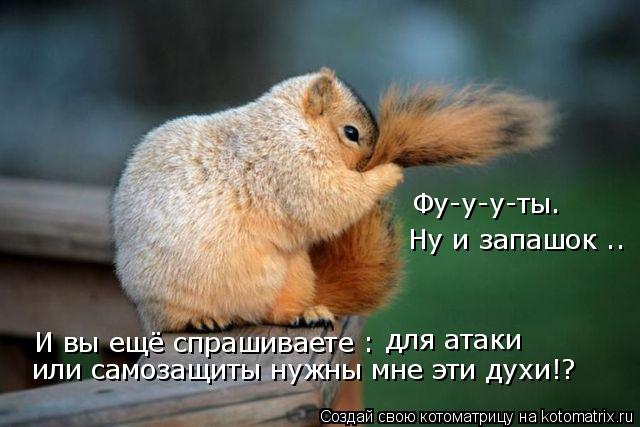 Фу-у-у-ты… Ну и запашок .. И вы ещё спрашиваете : для атаки или самозащиты нужны мне эти духи!?... Котоматрица: Фу-у-у-ты… Ну и запашок .. И вы ещё спрашиваете : для атаки или самозащиты нужны мне эти духи!?