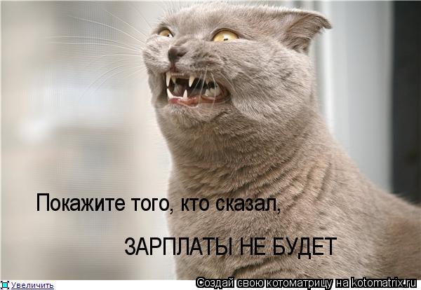 Покажите того, кто сказал, ЗАРПЛАТЫ НЕ БУДЕТ... Котоматрица: Покажите того, кто сказал, ЗАРПЛАТЫ НЕ БУДЕТ