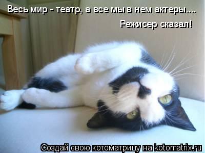 Весь мир - театр, а все мы в нем актеры.... Режисер сказал!... Котоматрица: Весь мир - театр, а все мы в нем актеры.... Режисер сказал!