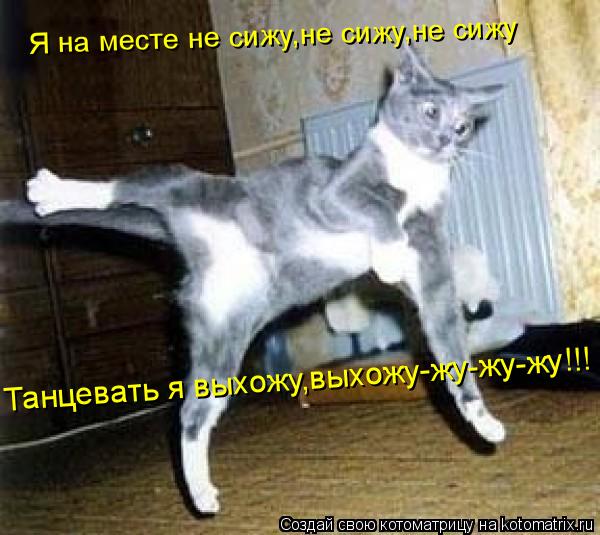 Я на месте не сижу,не сижу,не сижу Танцевать я выхожу,выхожу-жу-жу-жу!!!... Котоматрица: Я на месте не сижу,не сижу,не сижу Танцевать я выхожу,выхожу-жу-жу-жу!!!