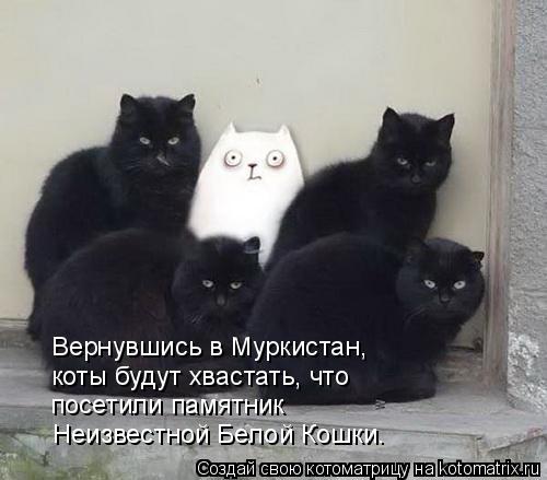 Котоматрица: Вернувшись в Муркистан,  коты будут хвастать, что посетили памятник Неизвестной Белой Кошки.