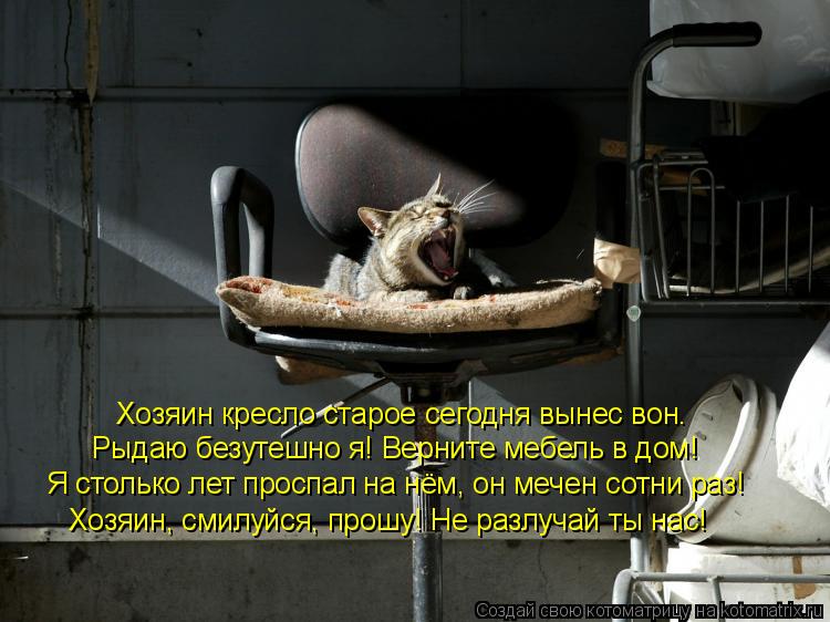 Хозяин кресло старое сегодня вынес вон. Рыдаю безутешно я! Верните мебель в дом! Я столько лет проспа... Котоматрица: Хозяин кресло старое сегодня вынес вон. Рыдаю безутешно я! Верните мебель в дом! Я столько лет проспал на нём, он мечен сотни раз! Хозяин, сми