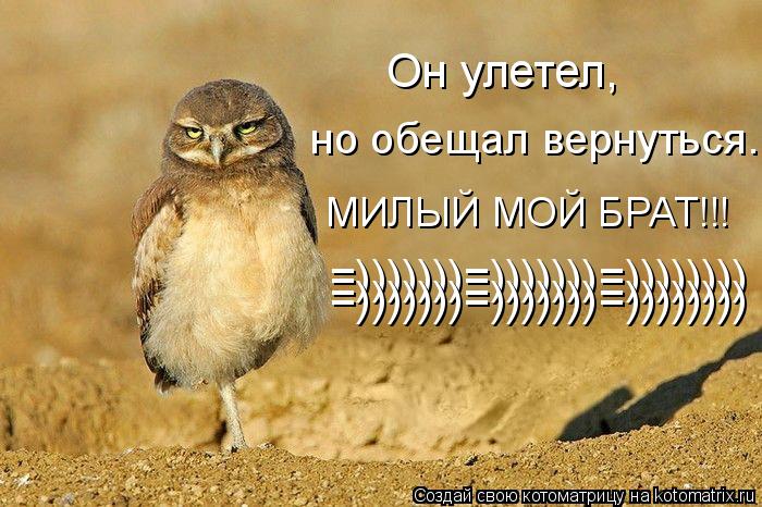 Он улетел, но обещал вернуться. МИЛЫЙ МОЙ БРАТ!!! =)))))))=)))))))=)))))))) =)))))))=)))))))=))))))))... Котоматрица: Он улетел, но обещал вернуться. МИЛЫЙ МОЙ БРАТ!!! =)))))))=)))))))=)))))))) =)))))))=)))))))=))))))))