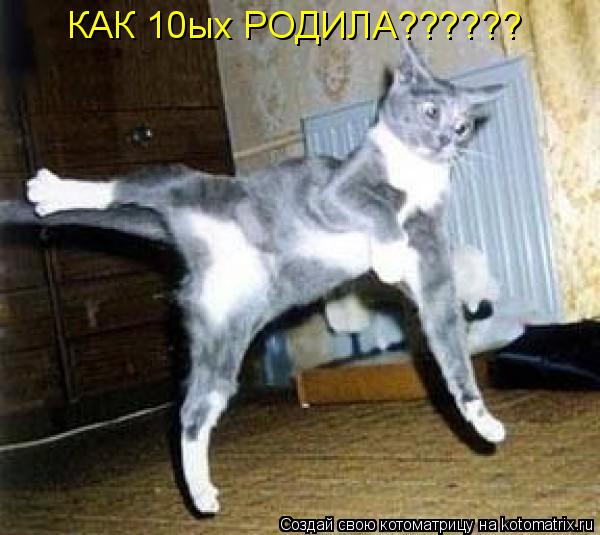 КАК 10ых РОДИЛА??????... Котоматрица: КАК 10ых РОДИЛА??????