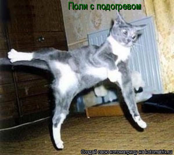 Поли с подогревом... Котоматрица: Поли с подогревом