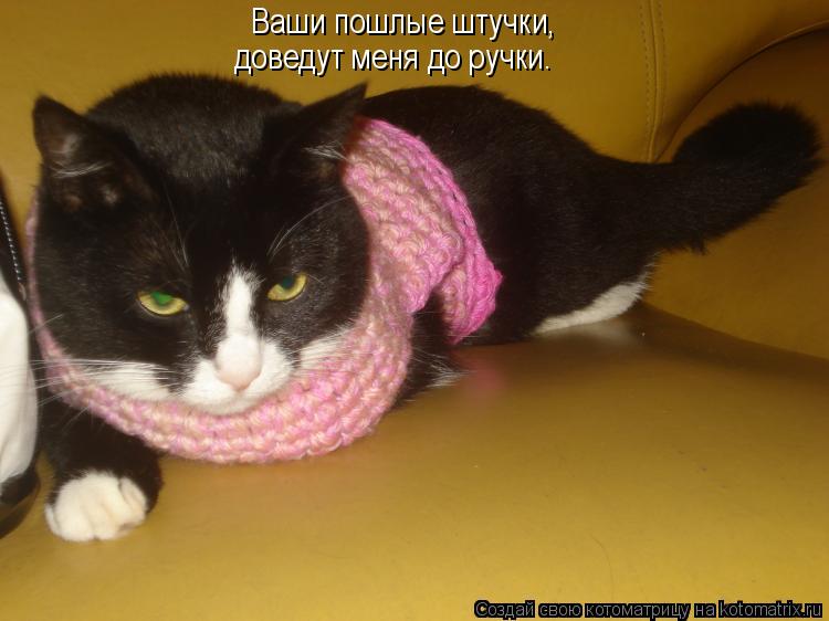 Ваши пошлые штучки, доведут меня до ручки.... Котоматрица: Ваши пошлые штучки, доведут меня до ручки.