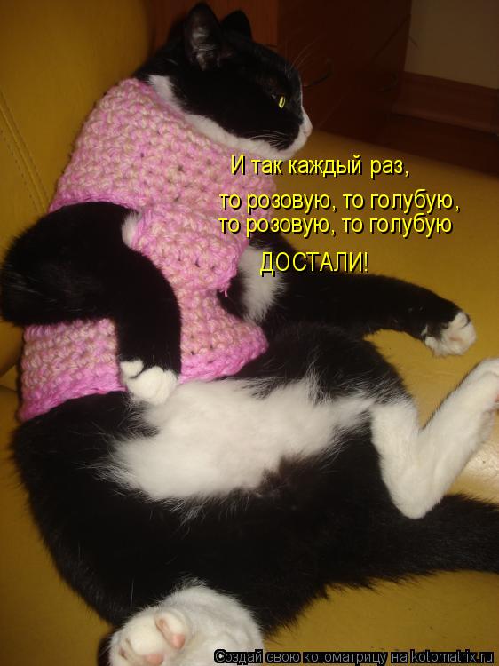 И так каждый раз, то розовую, то голубую то розовую, то голубую ДОСТАЛИ! ,... Котоматрица: И так каждый раз, то розовую, то голубую то розовую, то голубую ДОСТАЛИ! ,