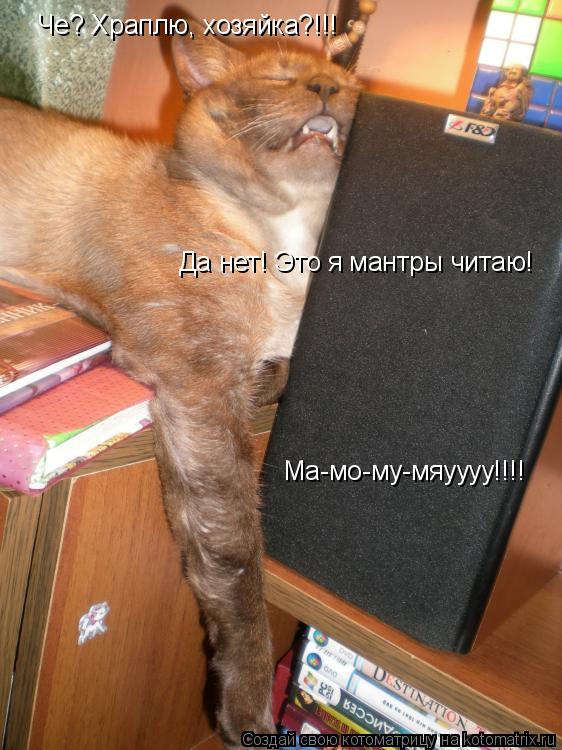 Че? Храплю, хозяйка?!!! Да нет! Это я мантры читаю! Ма-мо-му-мяуууу!!!!... Котоматрица: Че? Храплю, хозяйка?!!! Да нет! Это я мантры читаю! Ма-мо-му-мяуууу!!!!