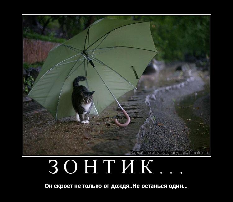 Зонтик... Он скроет не только от дождя..Не останься один...... Котоматрица: Зонтик... Он скроет не только от дождя..Не останься один...