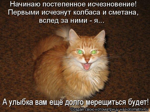 Начинаю постепенное исчезновение! Первыми исчезнут колбаса и сметана, вслед за ними - я... А улыбка в... Котоматрица: Начинаю постепенное исчезновение! Первыми исчезнут колбаса и сметана, вслед за ними - я... А улыбка вам ещё долго мерещиться будет!