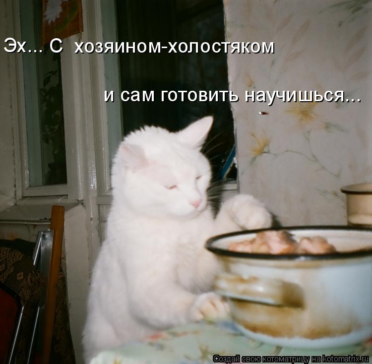 С хозяином-холостяком и сам готовить научишься... Эх...... Котоматрица: С хозяином-холостяком и сам готовить научишься... Эх...