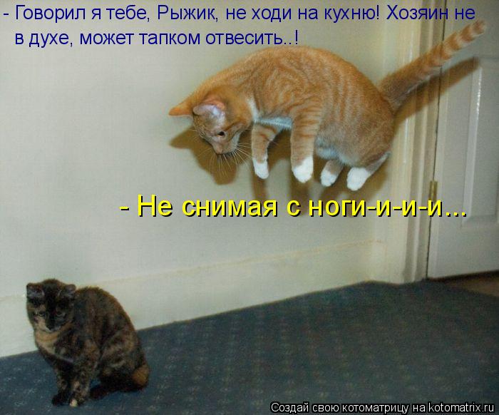 - Говорил я тебе, Рыжик, не ходи на кухню! Хозяин не в духе, может тапком отвесить..! - Не снимая с н... Котоматрица: - Говорил я тебе, Рыжик, не ходи на кухню! Хозяин не в духе, может тапком отвесить..! - Не снимая с ноги-и-и-и...