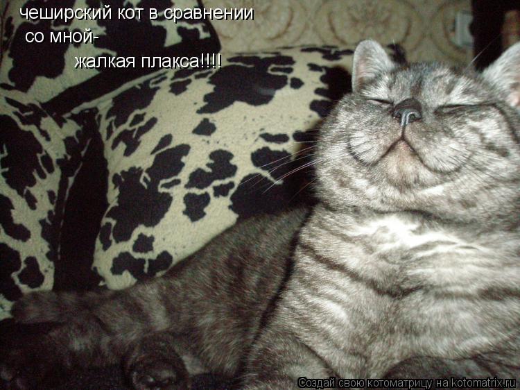 че чеширский кот в сравнении со мной- жалкая плакса!!!!... Котоматрица: че чеширский кот в сравнении со мной- жалкая плакса!!!!