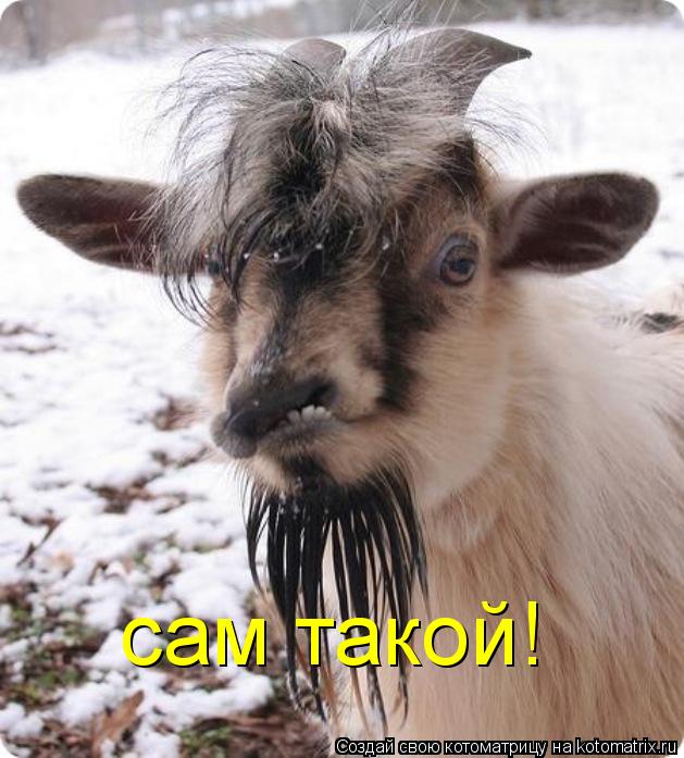 сам такой!... Котоматрица: сам такой!