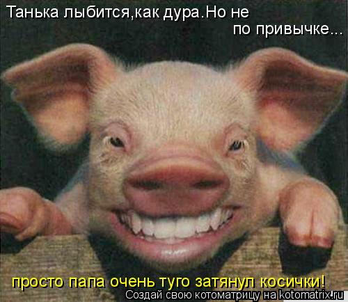Танька лыбится,как дура.Но не по привычке... просто папа очень туго затянул косички!... Котоматрица: Танька лыбится,как дура.Но не по привычке... просто папа очень туго затянул косички!