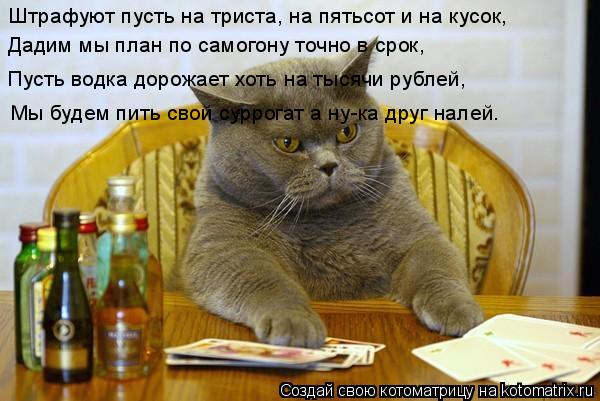 Штрафуют пусть на триста, на пятьсот и на кусок, Дадим мы план по самогону точно в срок, Пусть водка ... Котоматрица: Штрафуют пусть на триста, на пятьсот и на кусок, Дадим мы план по самогону точно в срок, Пусть водка дорожает хоть на тысячи рублей, Мы будем