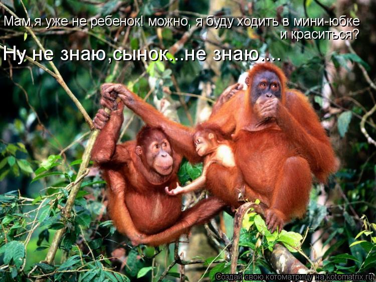 Мам,я уже не ребенок! можно, я буду ходить в мини-юбке и краситься? Ну не знаю,сынок...не знаю....... Котоматрица: Мам,я уже не ребенок! можно, я буду ходить в мини-юбке и краситься? Ну не знаю,сынок...не знаю....