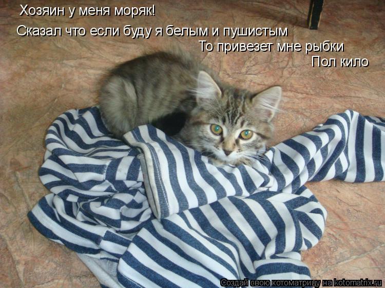 Хозяин у меня моряк! Сказал что если буду я белым и пушистым То привезет мне рыбки Пол кило... Котоматрица: Хозяин у меня моряк! Сказал что если буду я белым и пушистым То привезет мне рыбки Пол кило