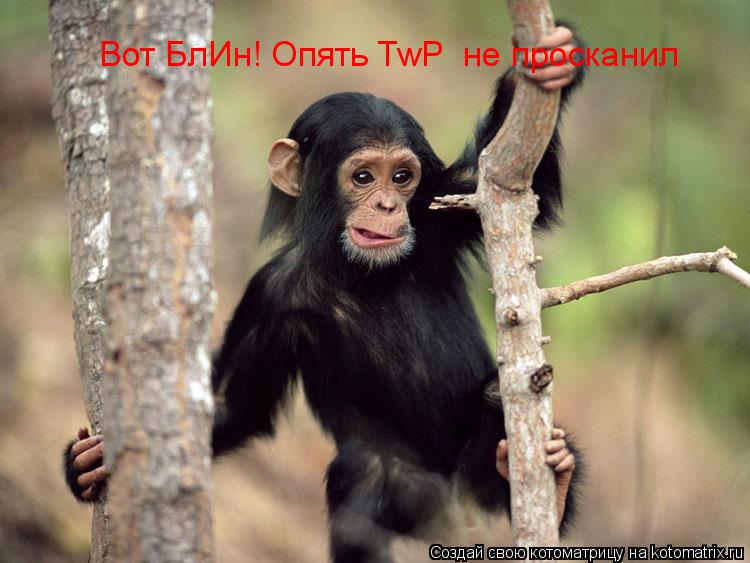 Вот БлИн! Опять TwP не просканил... Котоматрица: Вот БлИн! Опять TwP не просканил