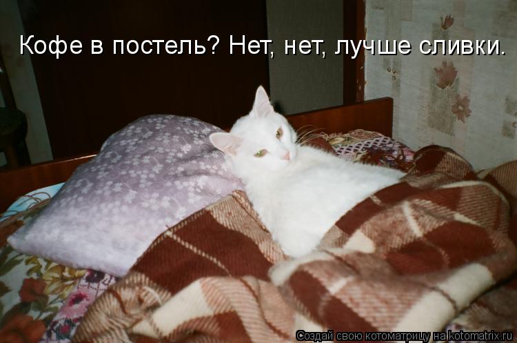 Кофе в постель? Нет, нет, лучше сливки.... Котоматрица: Кофе в постель? Нет, нет, лучше сливки.