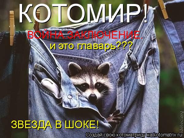 КОТОМИР! ВОЙНА.ЗАКЛЮЧЕНИЕ. и это главарь??? ЗВЕЗДА В ШОКЕ!... Котоматрица: КОТОМИР! ВОЙНА.ЗАКЛЮЧЕНИЕ. и это главарь??? ЗВЕЗДА В ШОКЕ!
