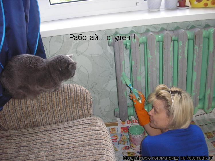 Работай... студент!... Котоматрица: Работай... студент!