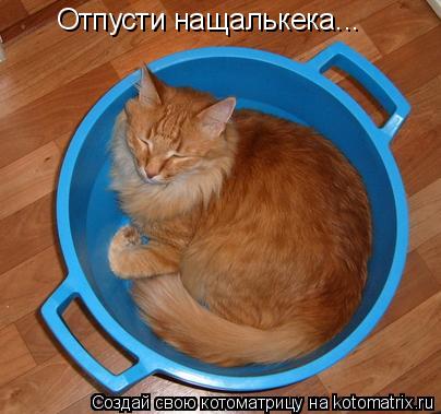 Программа МАКСИМУМ! Оскар Кучеро заснул в ванне! Отпусти нащалькека...... Котоматрица: Программа МАКСИМУМ! Оскар Кучеро заснул в ванне! Отпусти нащалькека...