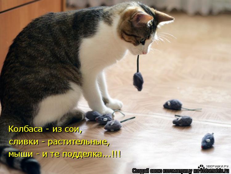 Колбаса - из сои, сливки - растительные, мыши - и те подделка...!!!... Котоматрица: Колбаса - из сои, сливки - растительные, мыши - и те подделка...!!!