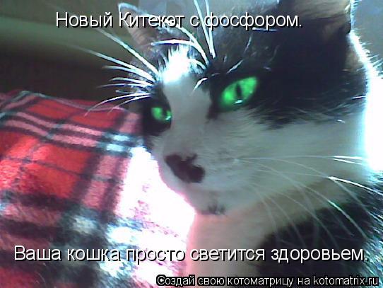 Котоматрица: Новый Китекэт с фосфором. Ваша кошка просто светится здоровьем.