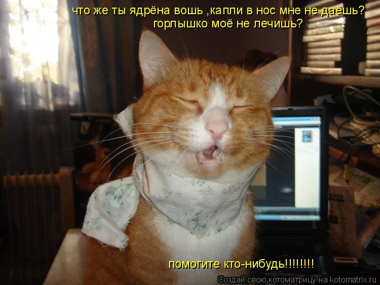 что же ты ядрёна вошь ,капли в нос мне не даёшь? горлышко моё не лечишь? помогите кто-нибудь!!!!!!!!... Котоматрица: что же ты ядрёна вошь ,капли в нос мне не даёшь? горлышко моё не лечишь? помогите кто-нибудь!!!!!!!!