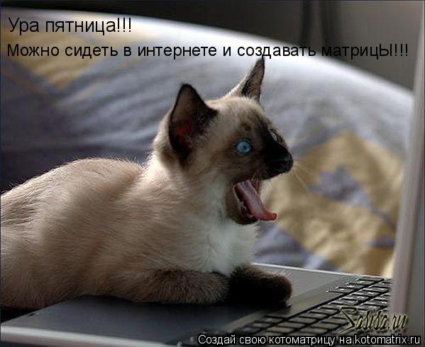 Ура пятница!!! Можно сидеть в интернете и создавать матрицЫ!!!... Котоматрица: Ура пятница!!! Можно сидеть в интернете и создавать матрицЫ!!!