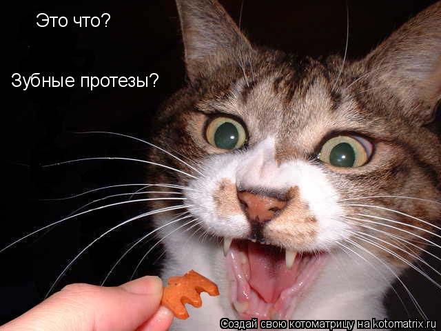 Это что? Зубные протезы?... Котоматрица: Это что? Зубные протезы?
