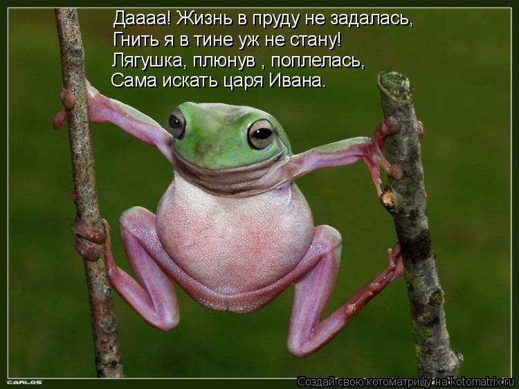 Даааа! Жизнь в пруду не задалась, Гнить я в тине уж не стану! Лягушка, плюнув , поплелась, Сама искат... Котоматрица: Даааа! Жизнь в пруду не задалась, Гнить я в тине уж не стану! Лягушка, плюнув , поплелась, Сама искать царя Ивана.