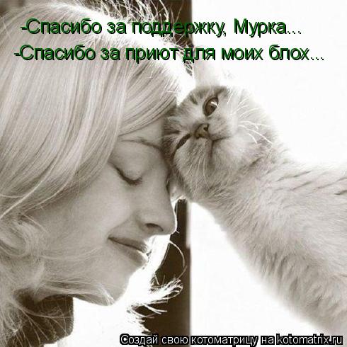 -Спасибо за поддержку, Мурка... -Спасибо за приют для моих блох...... Котоматрица: -Спасибо за поддержку, Мурка... -Спасибо за приют для моих блох...