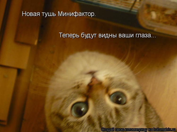 Новая тушь Минифактор. Теперь будут видны ваши глаза...... Котоматрица: Новая тушь Минифактор. Теперь будут видны ваши глаза...