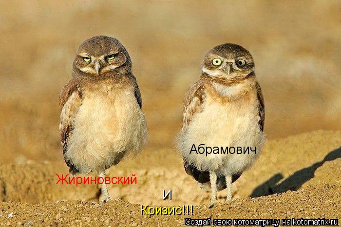 Жириновский Абрамович И Кризис!!!... Котоматрица: Жириновский Абрамович И Кризис!!!
