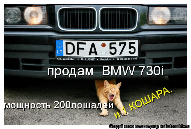 продам BMW 730i мощность 200лошадей и 1 КОШАРА. и 1 КОШАРА.... Котоматрица: продам BMW 730i мощность 200лошадей и 1 КОШАРА. и 1 КОШАРА.