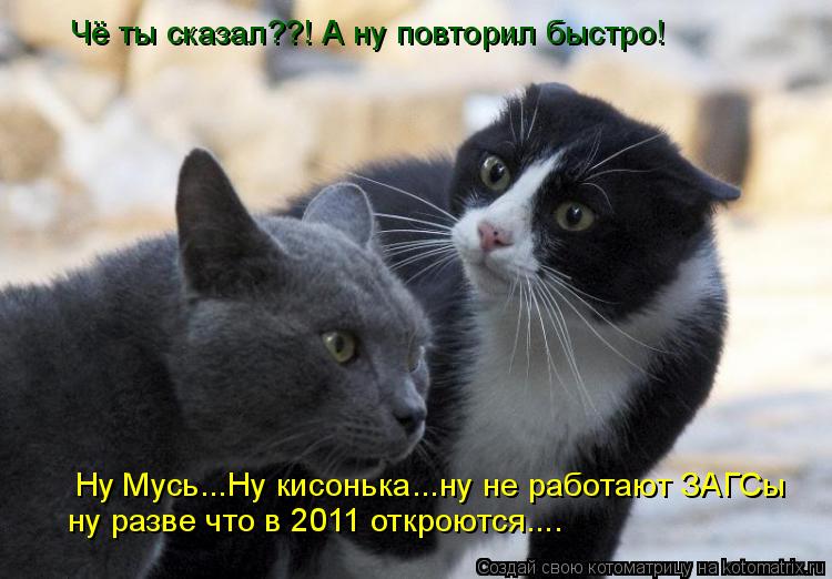 Чё ты сказал??! А ну повторил быстро! Ну Мусь...Ну кисонька...ну не работают ЗАГСы ну разве что в 201... Котоматрица: Чё ты сказал??! А ну повторил быстро! Ну Мусь...Ну кисонька...ну не работают ЗАГСы ну разве что в 2011 откроются....
