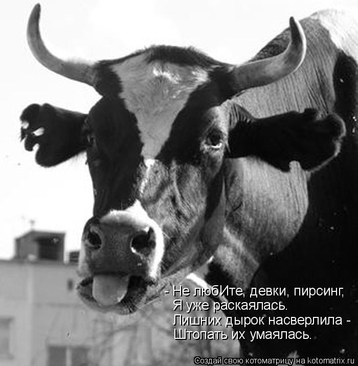 - Не любИте, девки, пирсинг, Я уже раскаялась. Лишних дырок насверлила - Штопать их умаялась.... Котоматрица: - Не любИте, девки, пирсинг, Я уже раскаялась. Лишних дырок насверлила - Штопать их умаялась.
