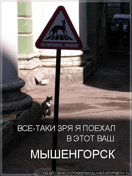 ВСЕ-ТАКИ ЗРЯ Я ПОЕХАЛ В ЭТОТ ВАШ МЫШЕНГОРСК... Котоматрица: ВСЕ-ТАКИ ЗРЯ Я ПОЕХАЛ В ЭТОТ ВАШ МЫШЕНГОРСК