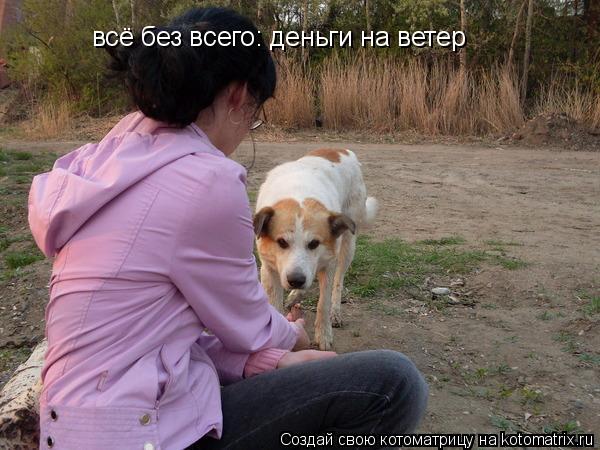 всё без всего: деньги на ветер... Котоматрица: всё без всего: деньги на ветер