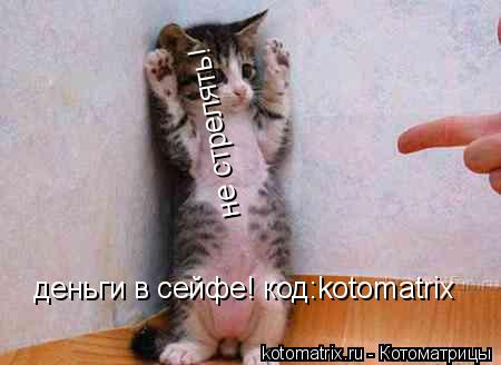 не стрелять! деньги в сейфе! код:kotomatrix... Котоматрица: не стрелять! деньги в сейфе! код:kotomatrix